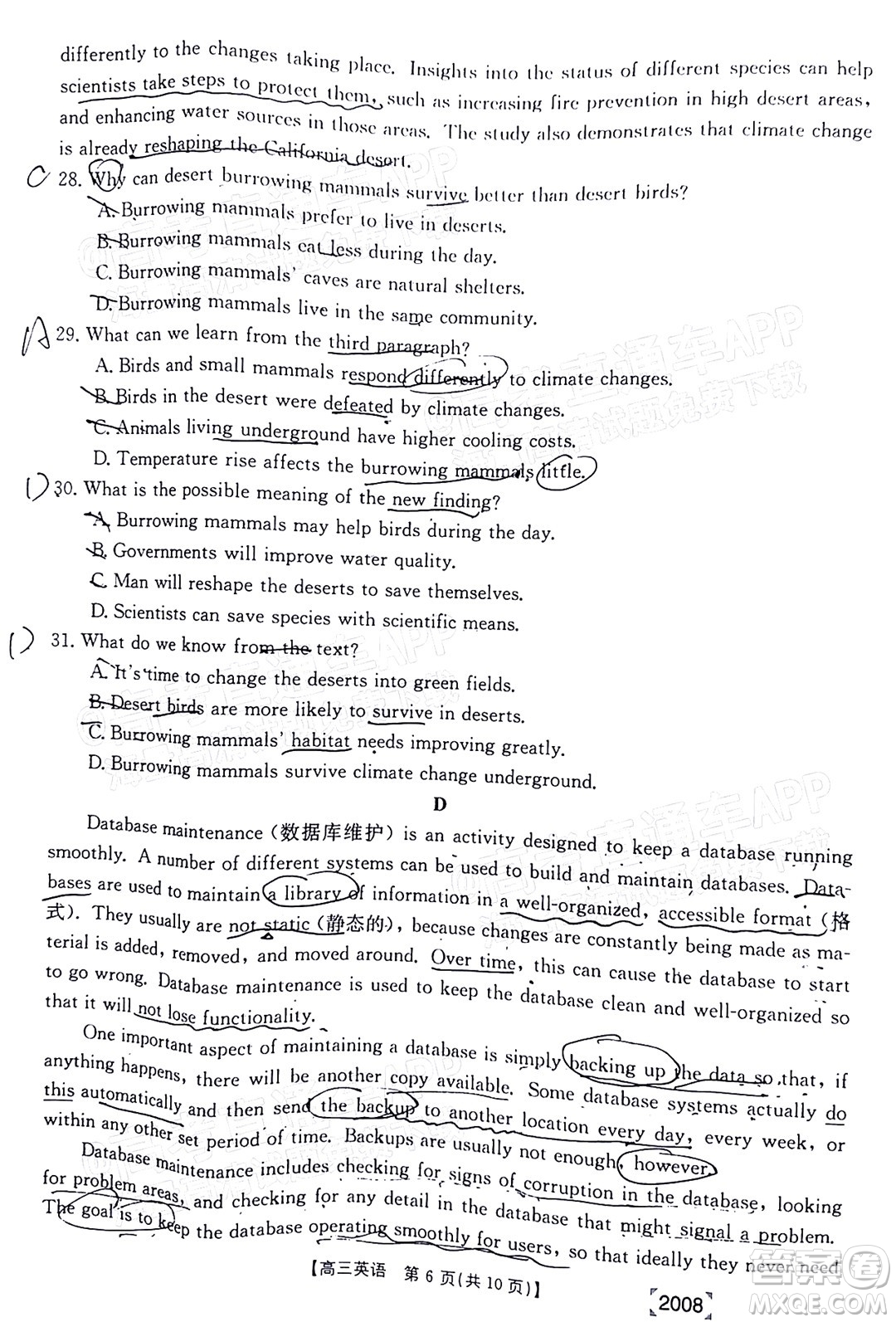 2022屆西南四省金太陽高三11月聯(lián)考英語試題及答案