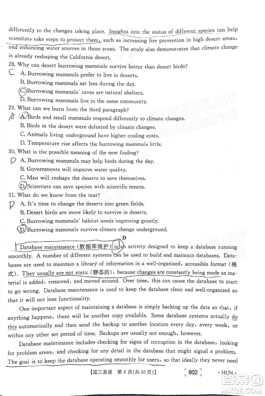 2022屆湖南金太陽高三11月聯(lián)考英語試題及答案