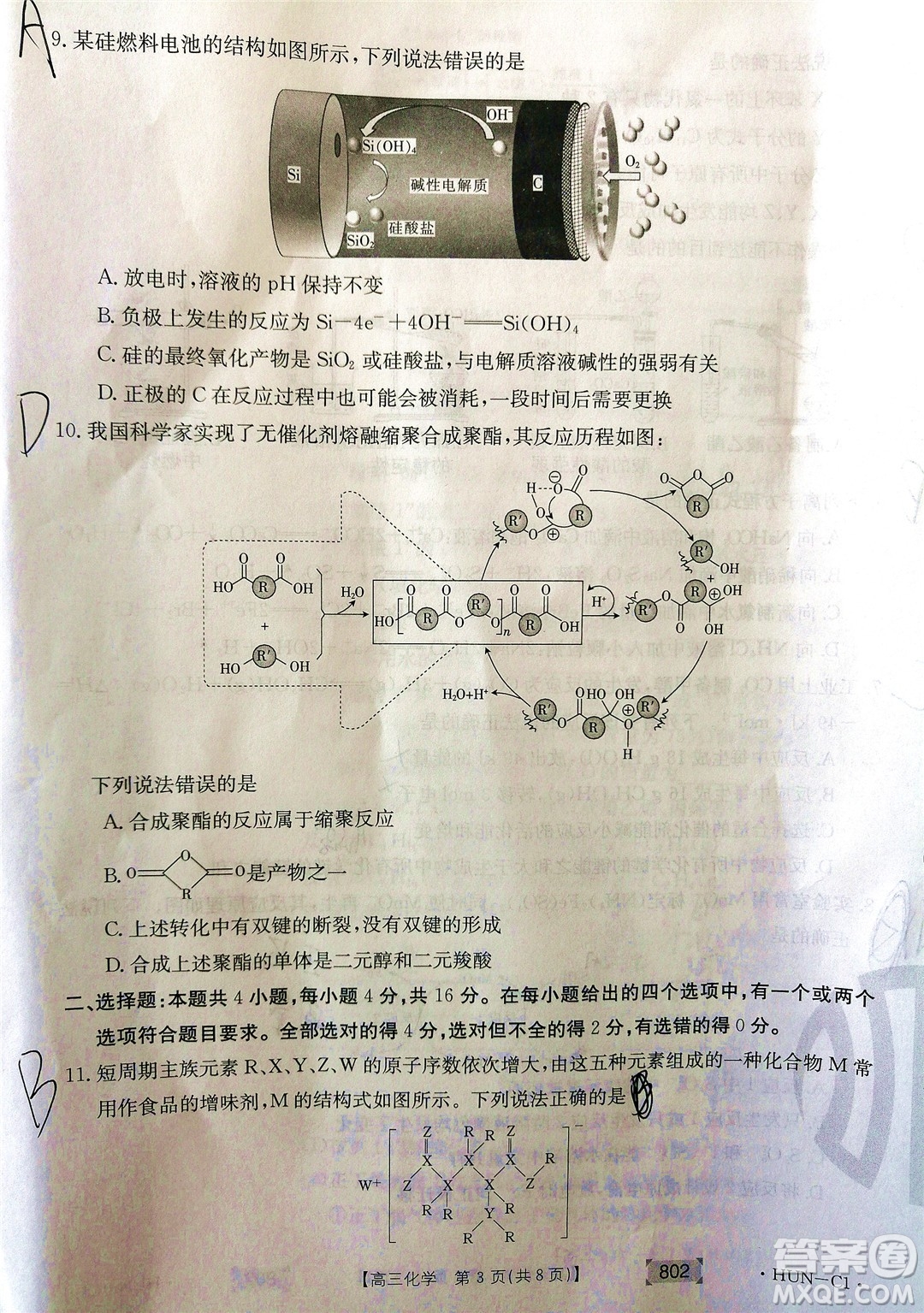 2022屆湖南金太陽高三11月聯(lián)考化學(xué)試題及答案