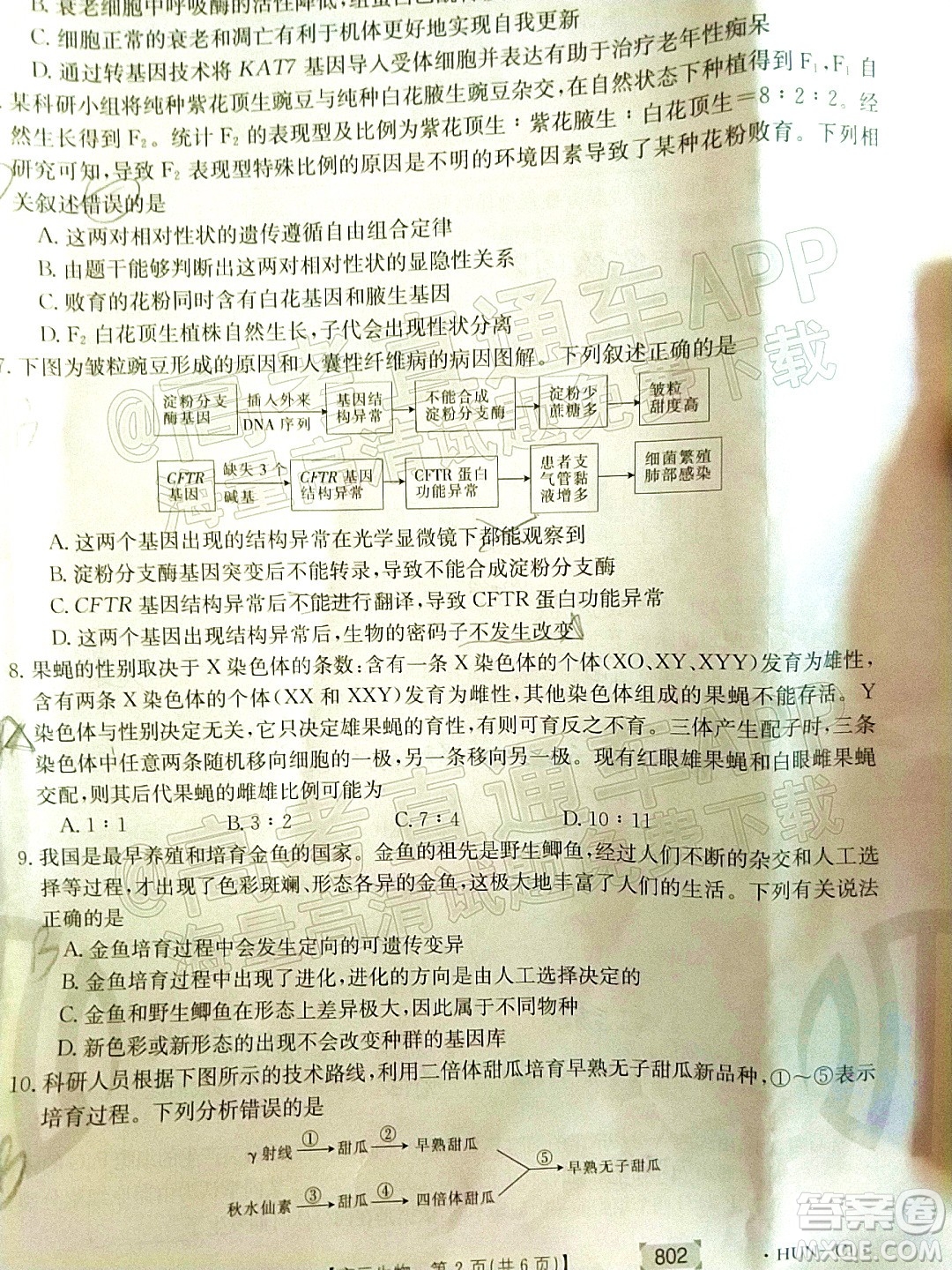 2022屆湖南金太陽(yáng)高三11月聯(lián)考生物試題及答案