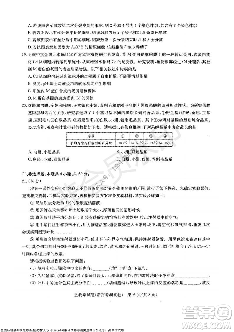 華大新高考聯(lián)盟2022屆高三11月教學(xué)質(zhì)量測(cè)評(píng)生物試題及答案