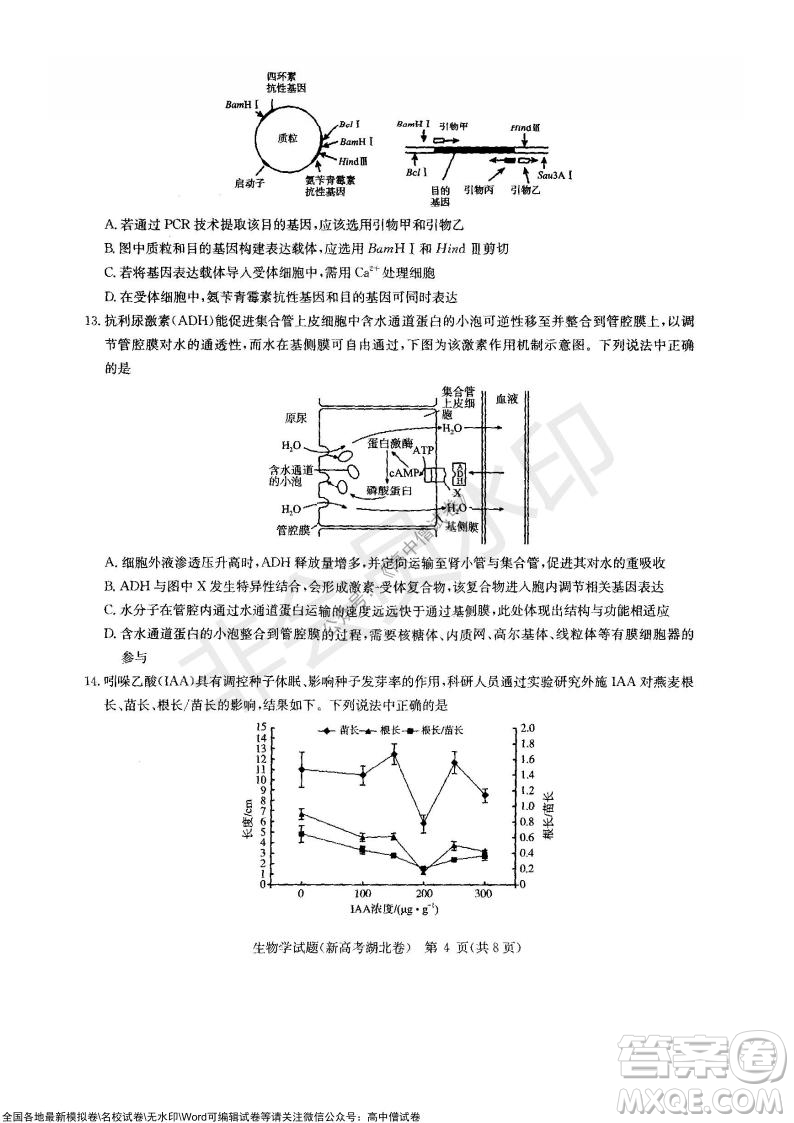 華大新高考聯(lián)盟2022屆高三11月教學(xué)質(zhì)量測(cè)評(píng)生物試題及答案