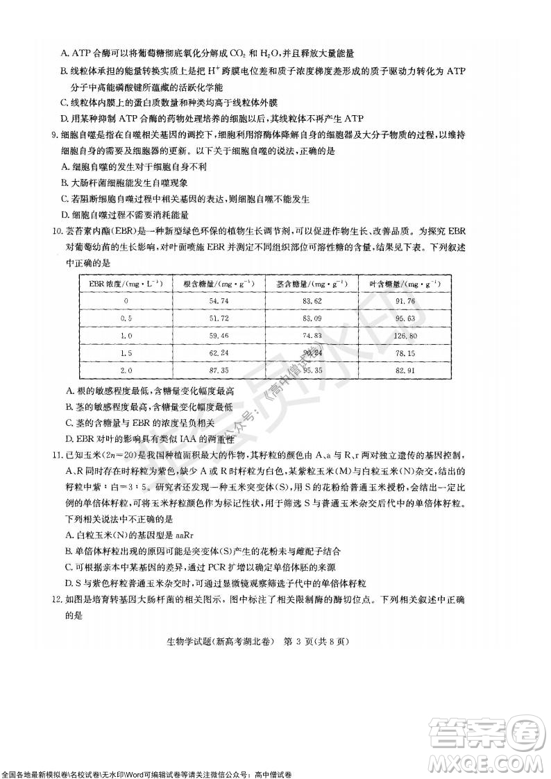 華大新高考聯(lián)盟2022屆高三11月教學(xué)質(zhì)量測(cè)評(píng)生物試題及答案