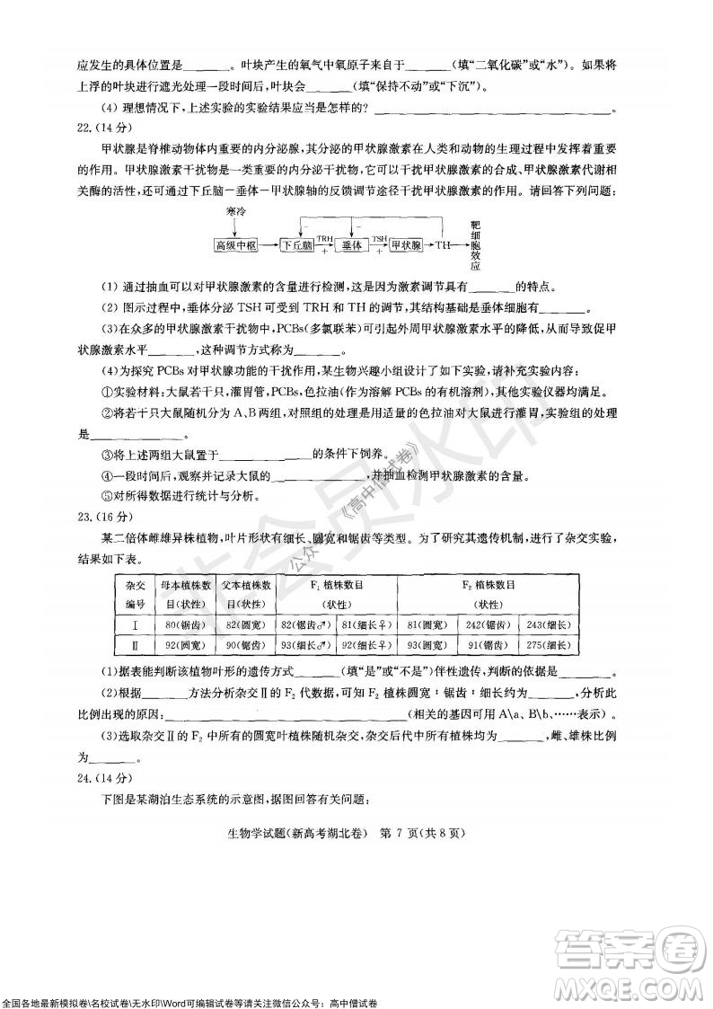 華大新高考聯(lián)盟2022屆高三11月教學(xué)質(zhì)量測(cè)評(píng)生物試題及答案