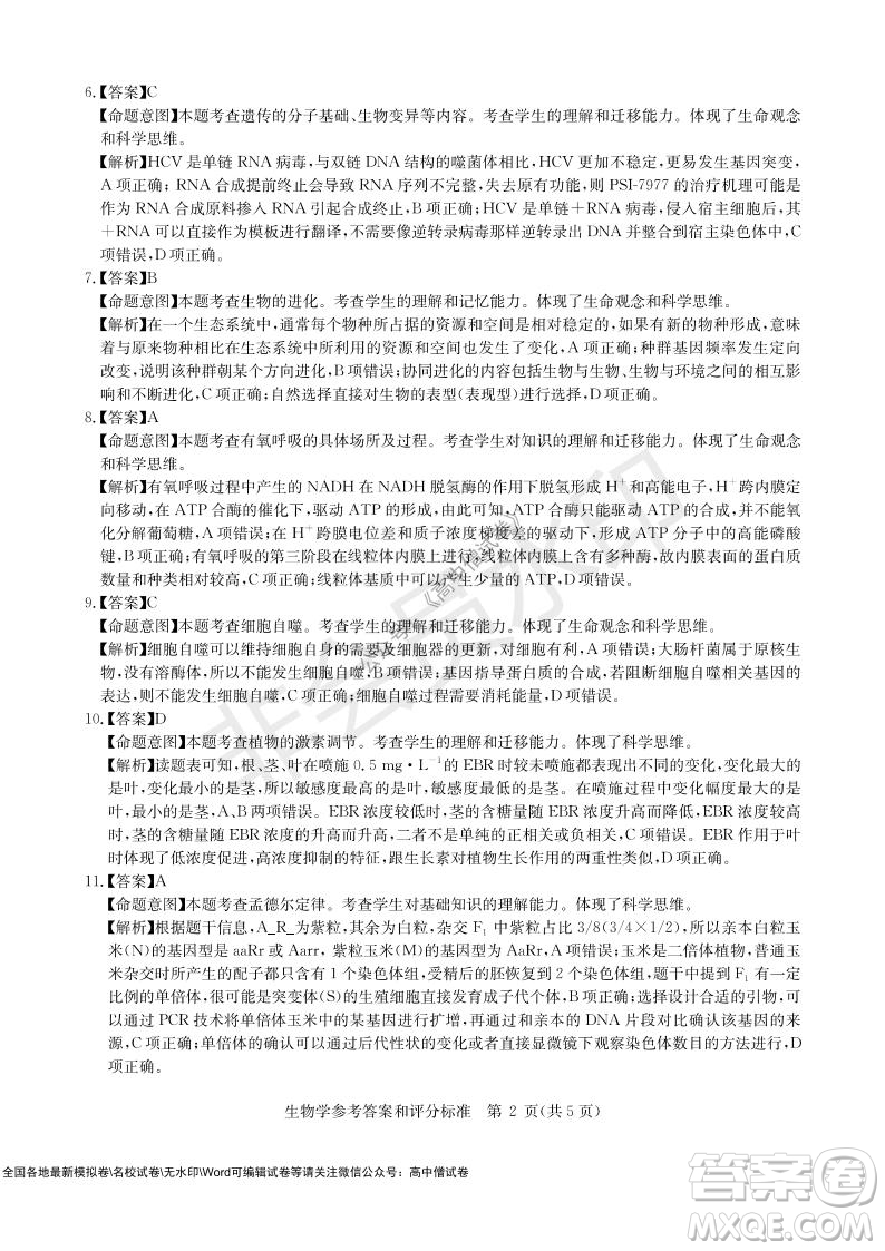 華大新高考聯(lián)盟2022屆高三11月教學(xué)質(zhì)量測(cè)評(píng)生物試題及答案