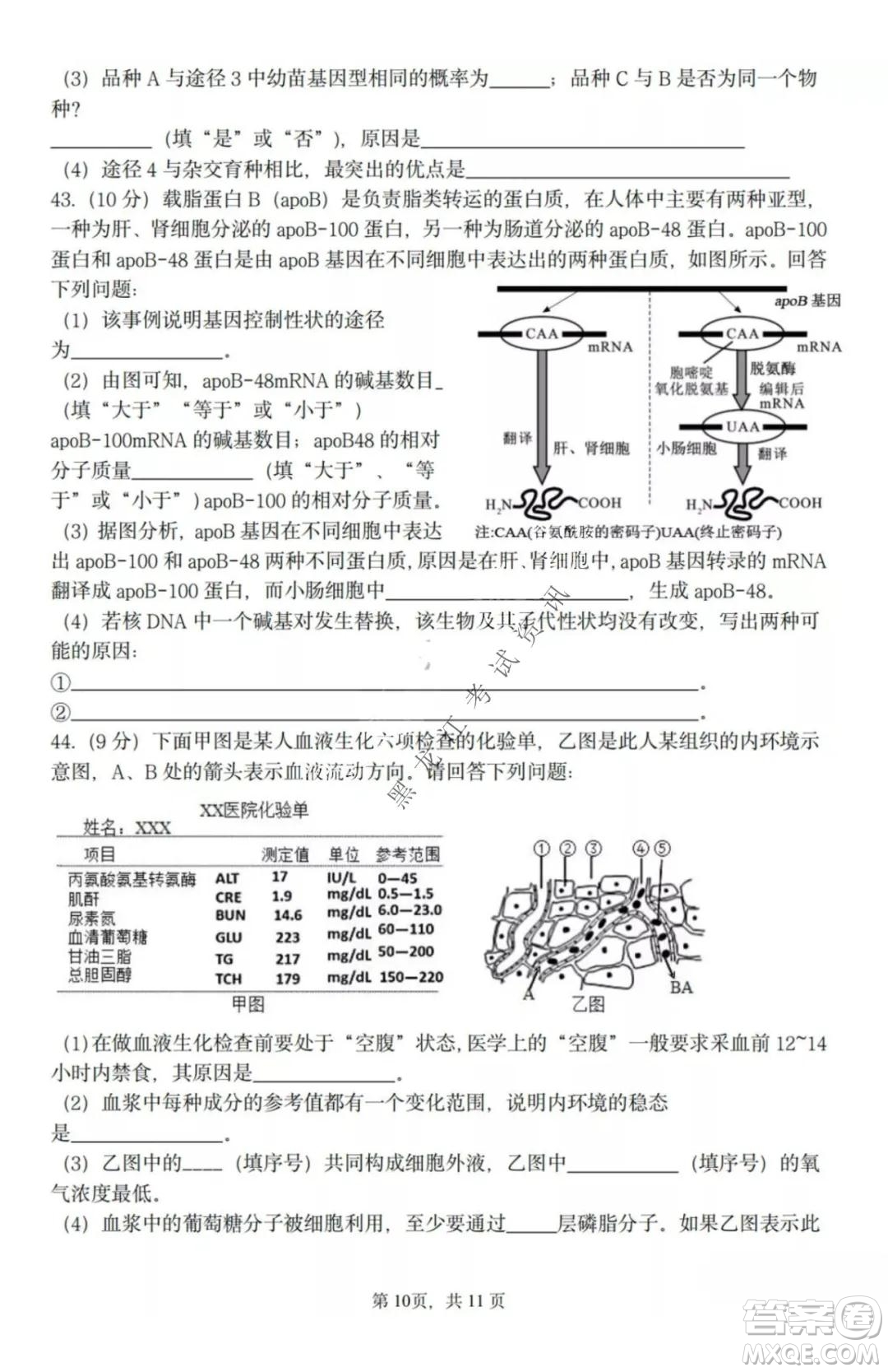 哈三中2021-2022高三上學(xué)期第三次驗(yàn)收考試生物試卷及答案