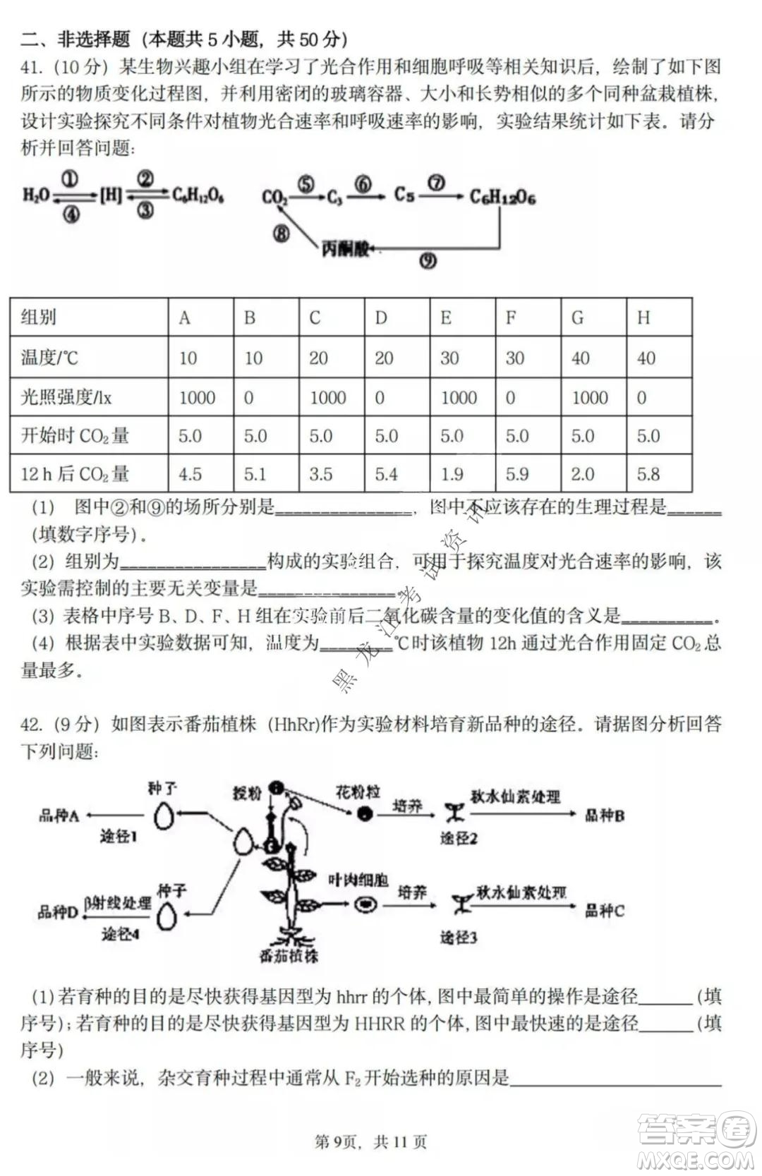 哈三中2021-2022高三上學(xué)期第三次驗(yàn)收考試生物試卷及答案