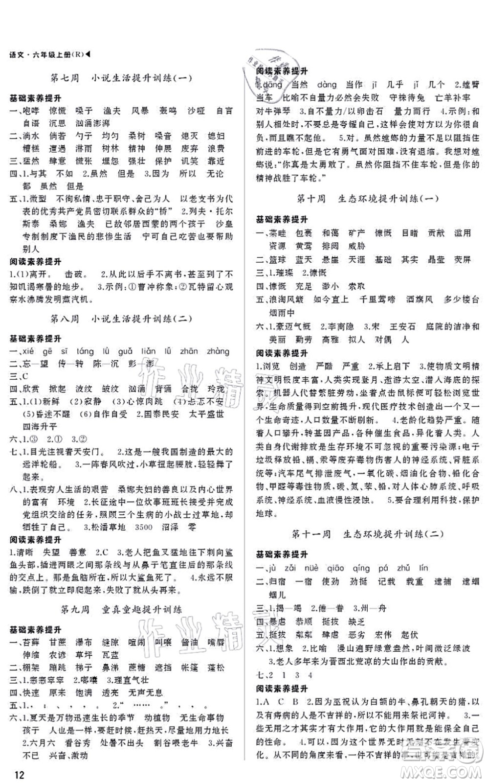 內(nèi)蒙古大學(xué)出版社2021超越訓(xùn)練六年級語文上冊R人教版綿陽專版答案