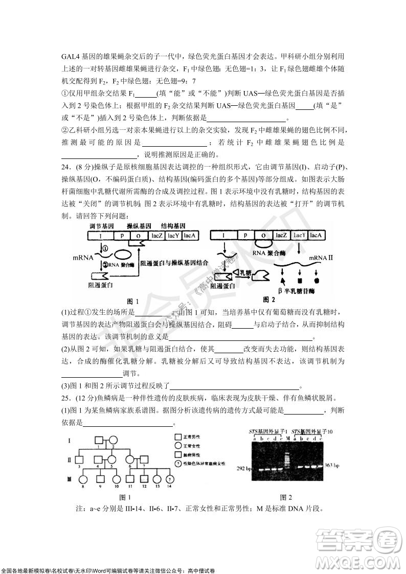 山東青島2021-2022學年度第一學期教學質量檢測高三生物試題及答案