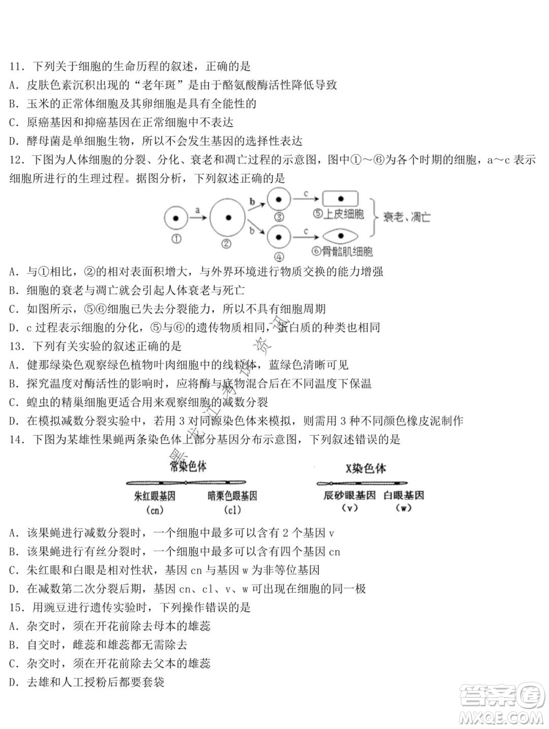 哈爾濱市第九中學(xué)2021-2022學(xué)年度上學(xué)期期中考試高三生物試題及答案
