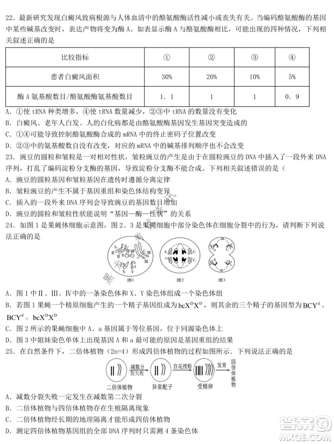 哈爾濱市第九中學(xué)2021-2022學(xué)年度上學(xué)期期中考試高三生物試題及答案