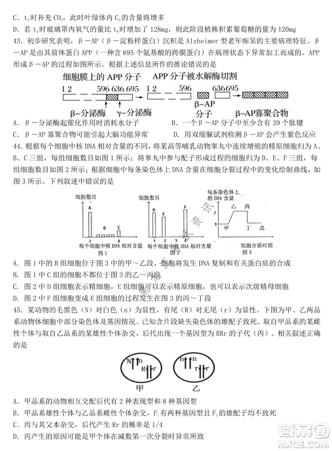哈爾濱市第九中學(xué)2021-2022學(xué)年度上學(xué)期期中考試高三生物試題及答案