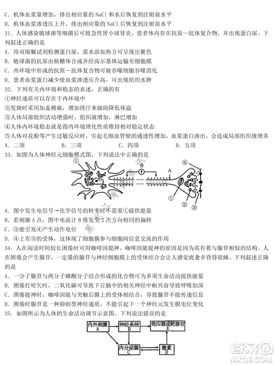 哈爾濱市第九中學(xué)2021-2022學(xué)年度上學(xué)期期中考試高三生物試題及答案