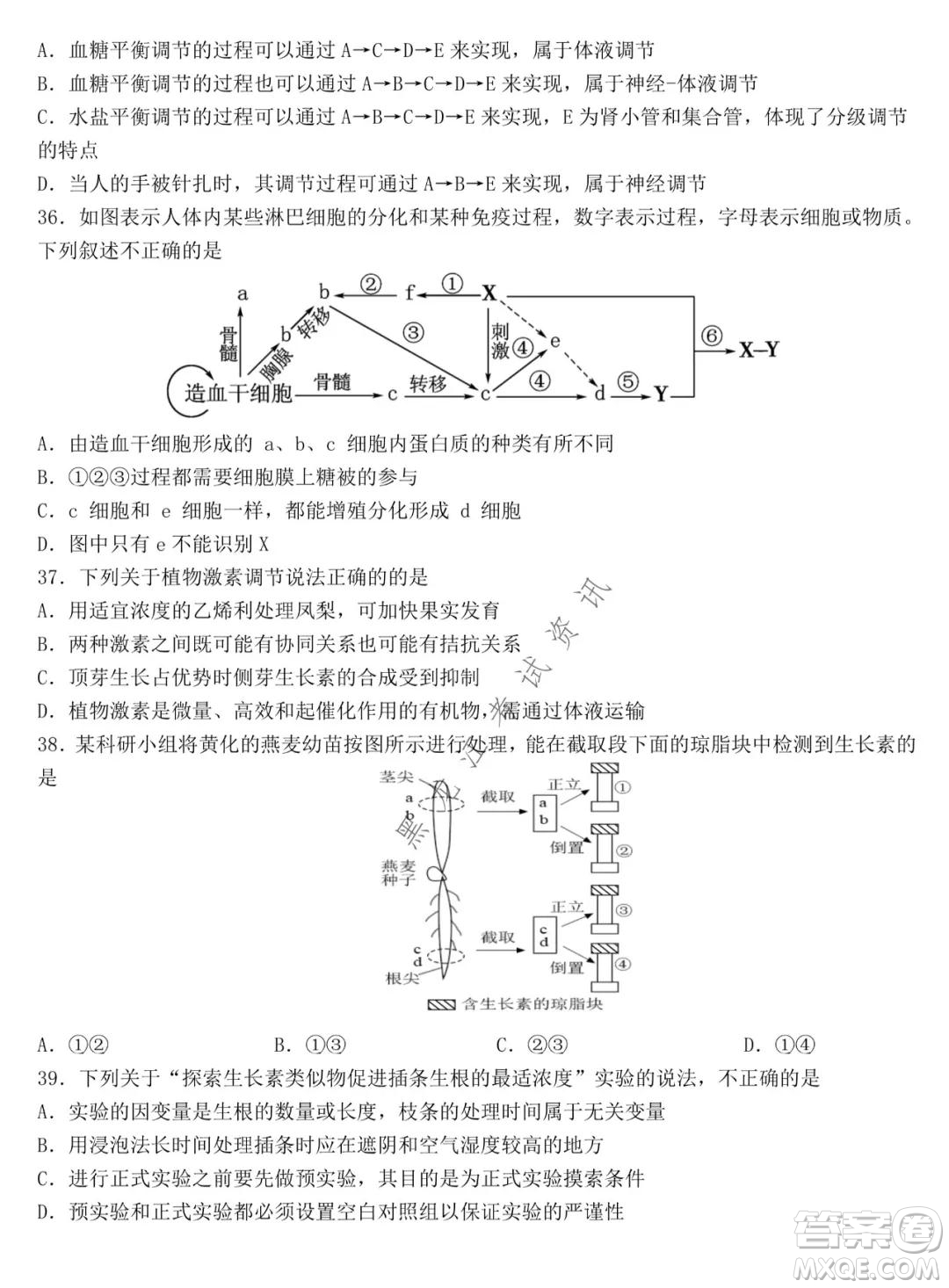 哈爾濱市第九中學(xué)2021-2022學(xué)年度上學(xué)期期中考試高三生物試題及答案