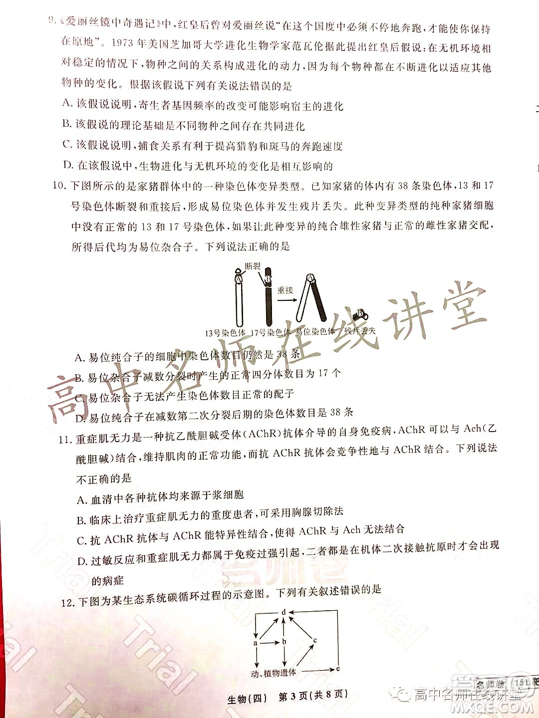 2021-2022學年度高三分科檢測提分卷四生物試題及答案