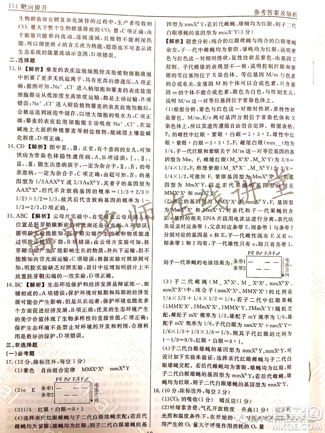 2021-2022學年度高三分科檢測提分卷四生物試題及答案