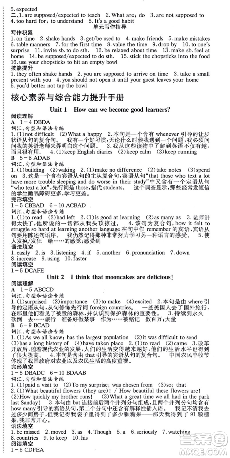 北京時(shí)代華文書(shū)局2021全效學(xué)習(xí)學(xué)業(yè)評(píng)價(jià)方案九年級(jí)英語(yǔ)全一冊(cè)RJ人教版答案