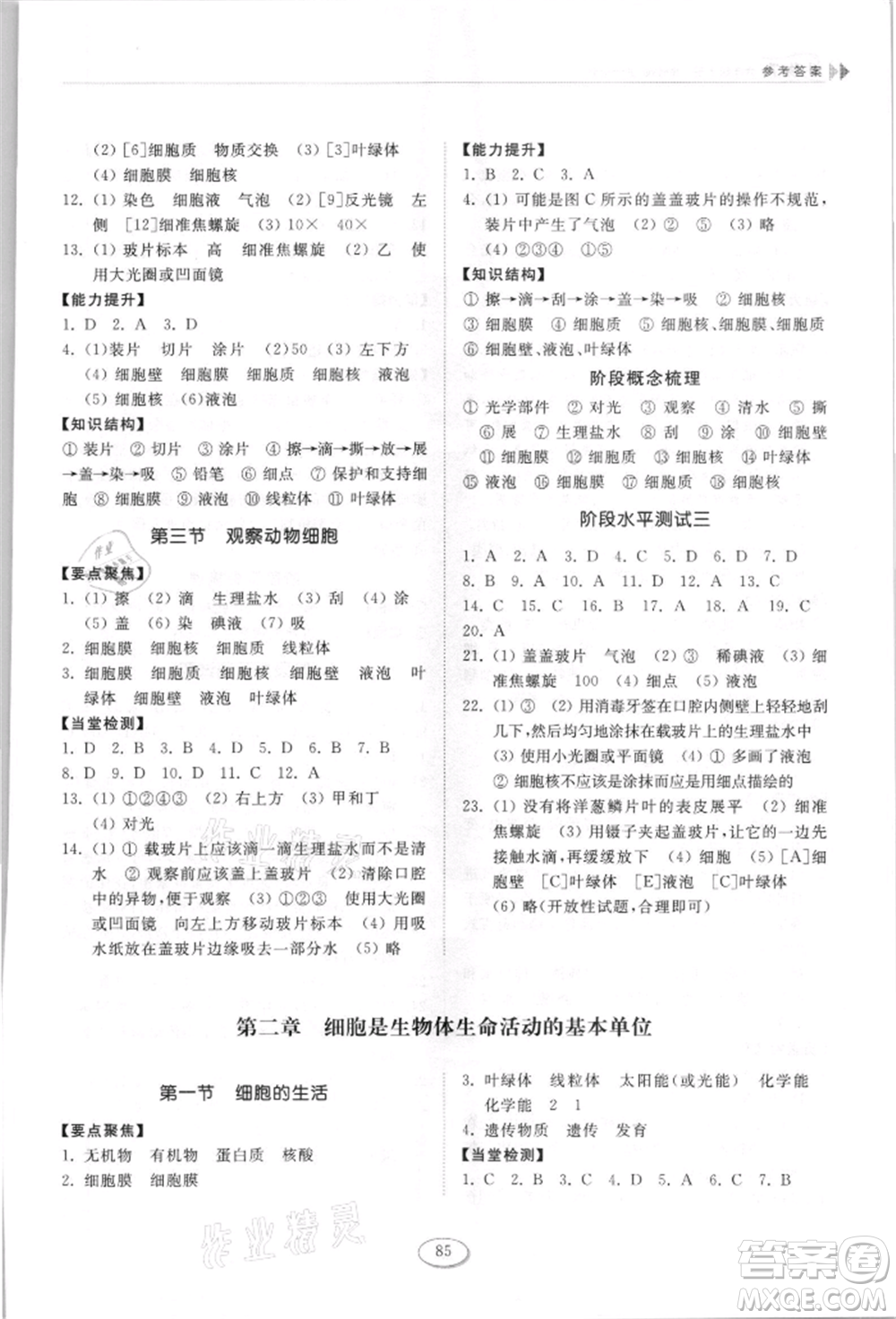 山東科學(xué)技術(shù)出版社2021初中同步練習(xí)冊(cè)五四制六年級(jí)上冊(cè)生物學(xué)魯科版參考答案
