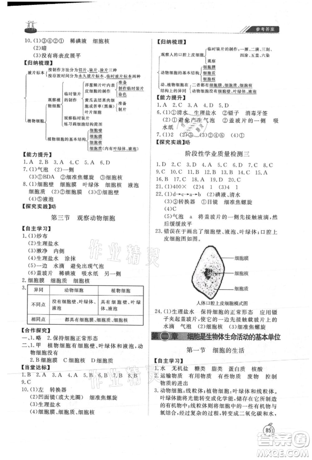 山東友誼出版社2021初中同步練習冊五四制六年級生物上冊魯科版參考答案