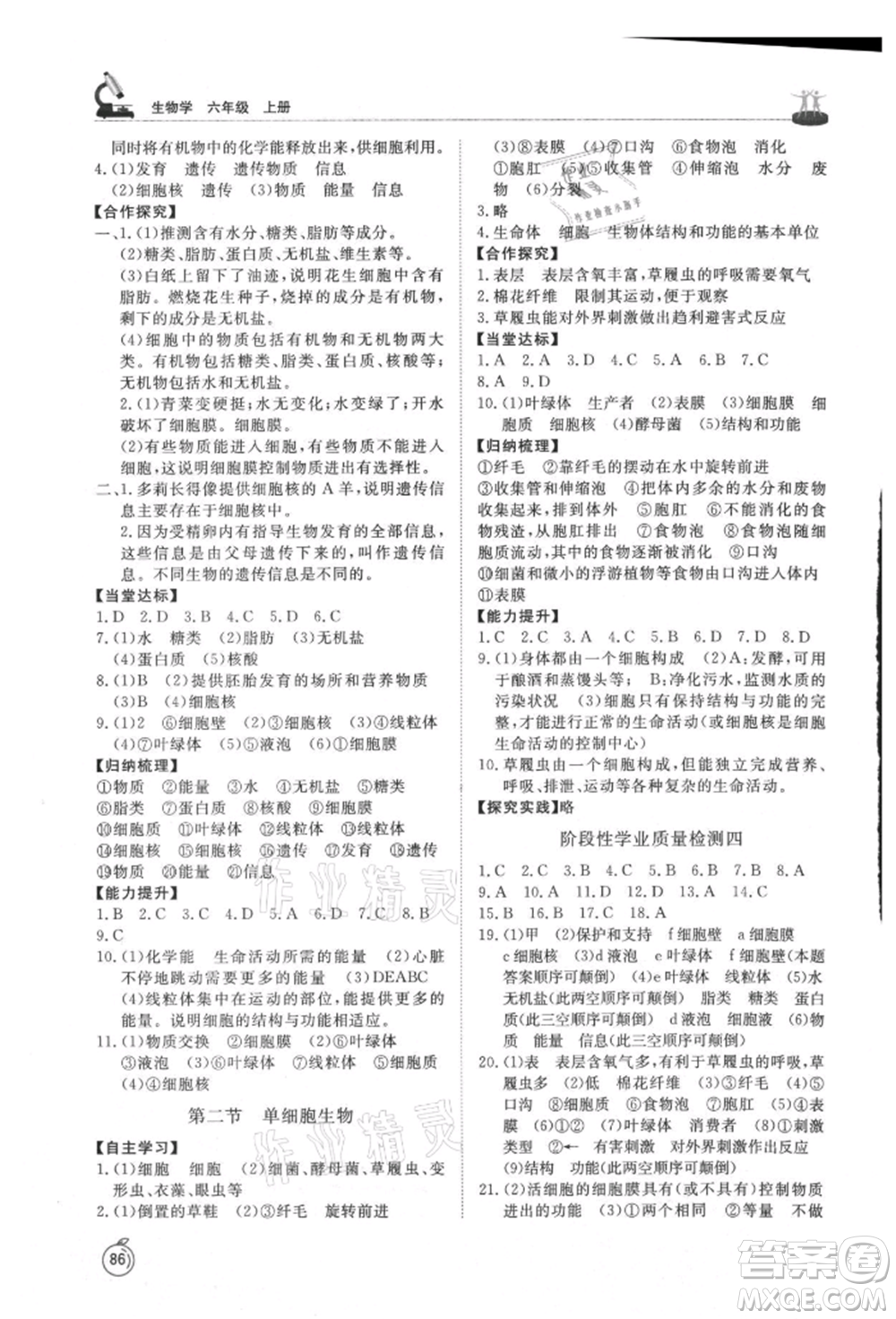 山東友誼出版社2021初中同步練習冊五四制六年級生物上冊魯科版參考答案