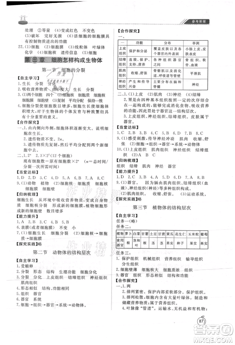 山東友誼出版社2021初中同步練習冊五四制六年級生物上冊魯科版參考答案