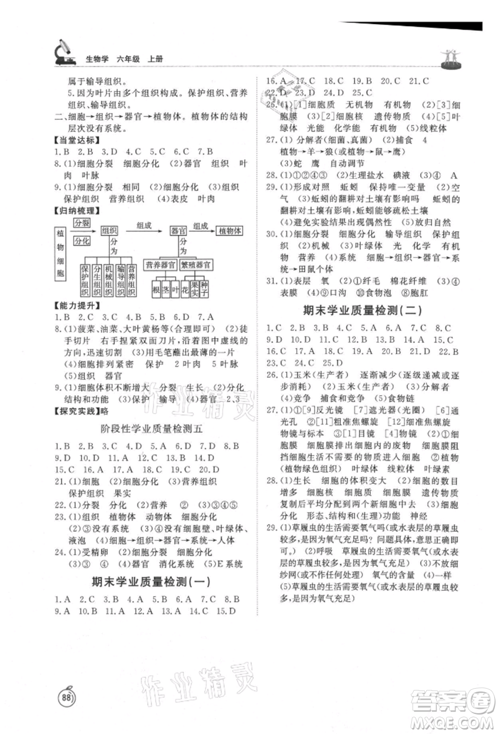 山東友誼出版社2021初中同步練習冊五四制六年級生物上冊魯科版參考答案
