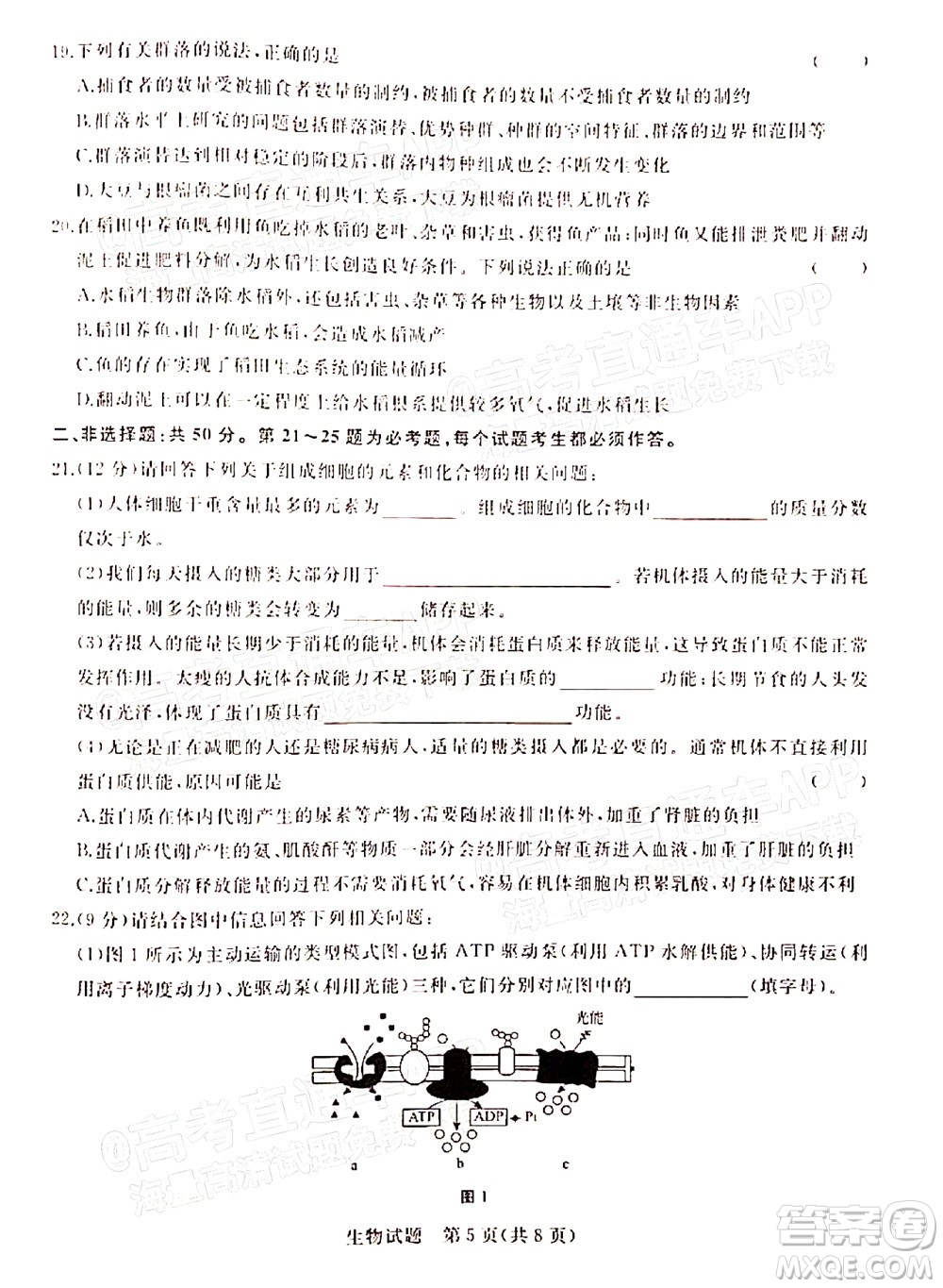 2022屆普通高等學(xué)校全國統(tǒng)一招生考試青桐鳴12月高三適應(yīng)性檢測生物試題及答案