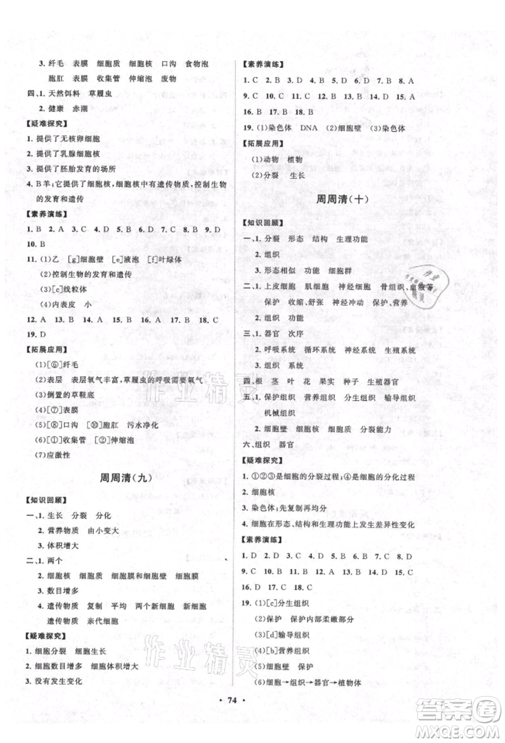 山東教育出版社2021初中同步練習(xí)冊分層卷五四制六年級生物上冊魯科版參考答案