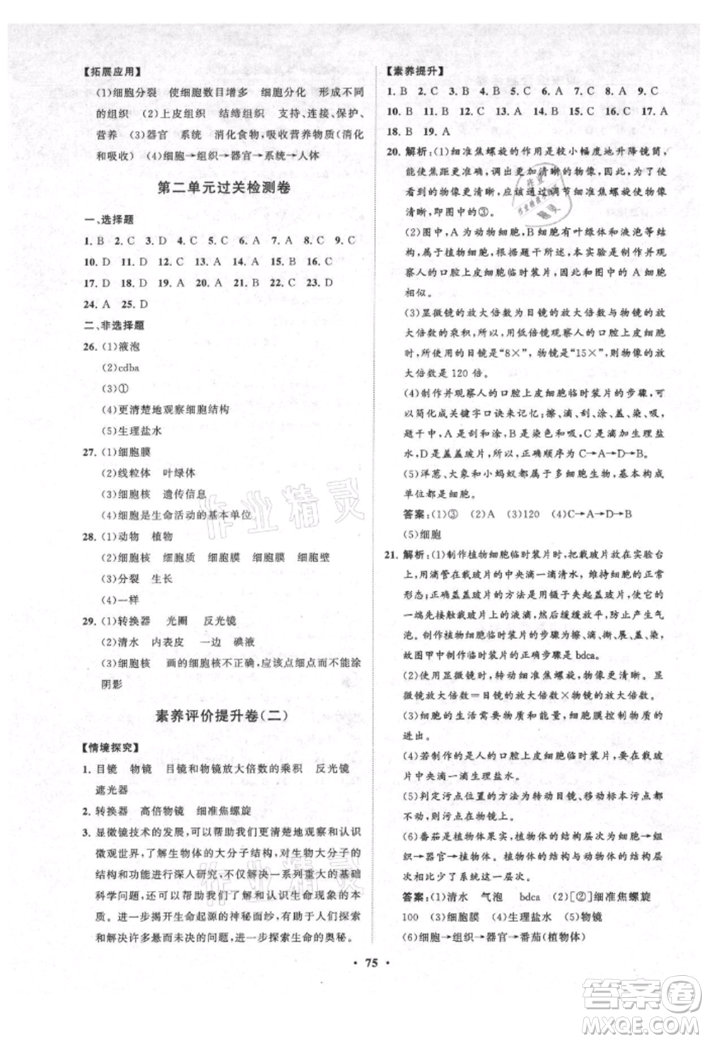 山東教育出版社2021初中同步練習(xí)冊分層卷五四制六年級生物上冊魯科版參考答案