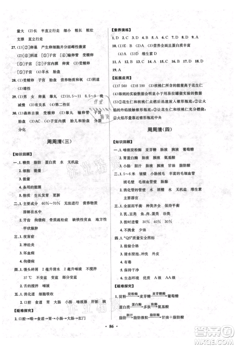 山東教育出版社2021初中同步練習冊分層卷五四制七年級生物上冊魯科版參考答案