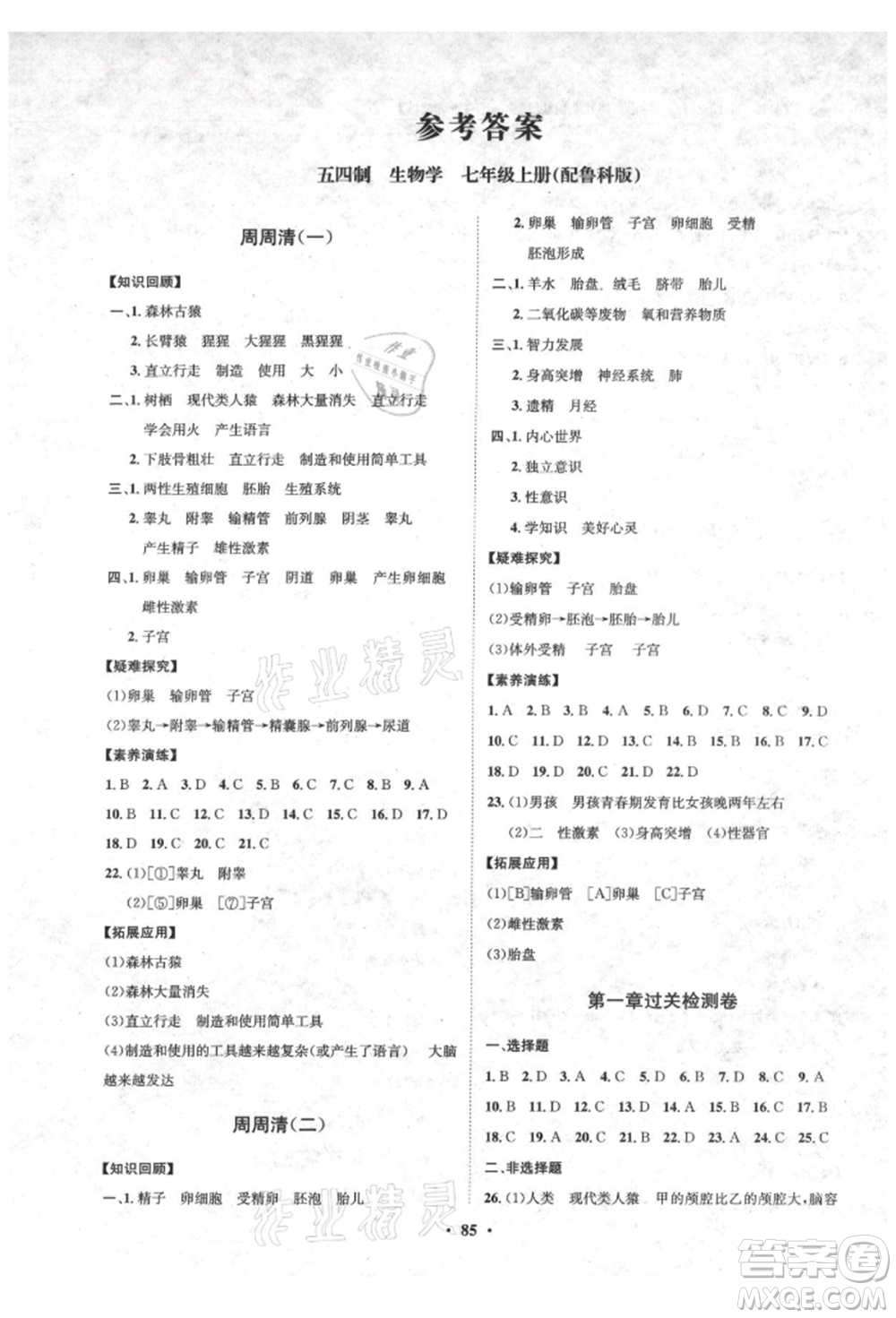 山東教育出版社2021初中同步練習冊分層卷五四制七年級生物上冊魯科版參考答案