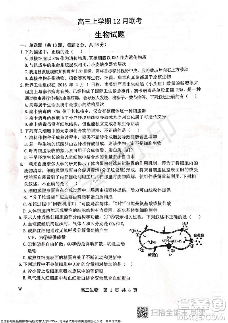 2022屆河北金太陽(yáng)高三12月聯(lián)考生物試題及答案