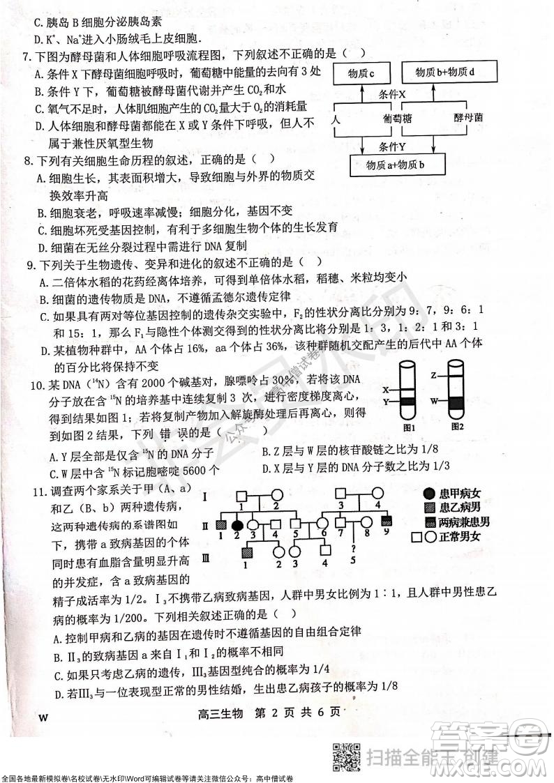 2022屆河北金太陽(yáng)高三12月聯(lián)考生物試題及答案