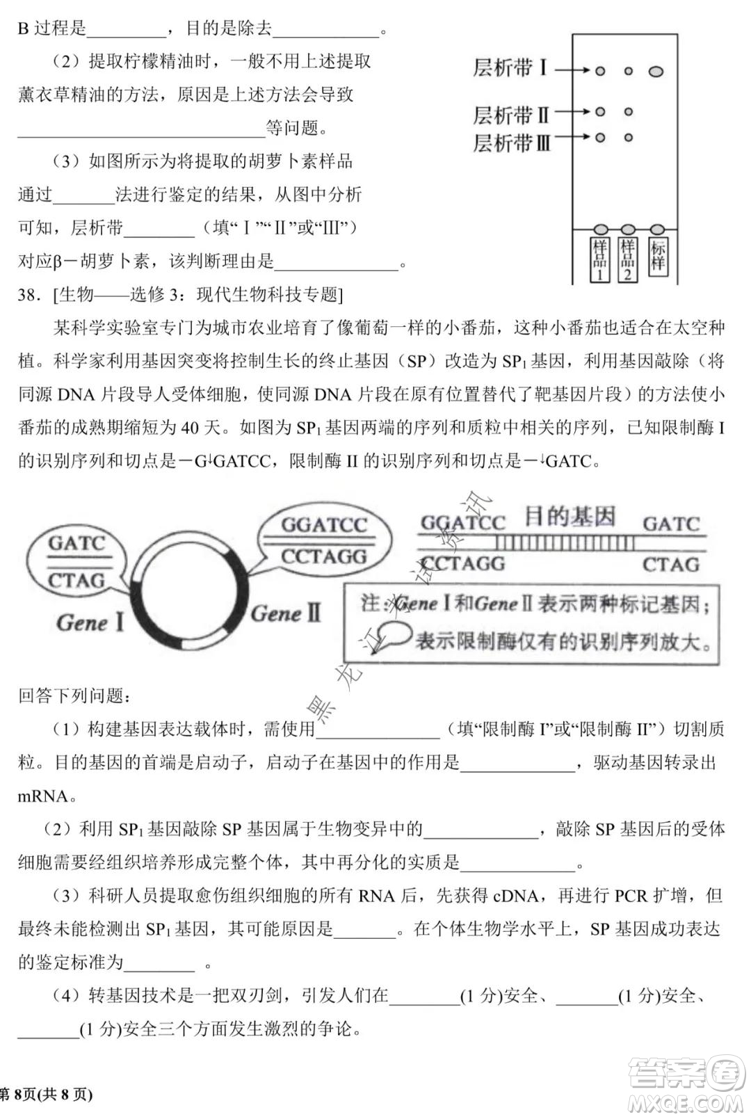銀川一中2022屆高三年級(jí)第四次月考理科綜合試題及答案