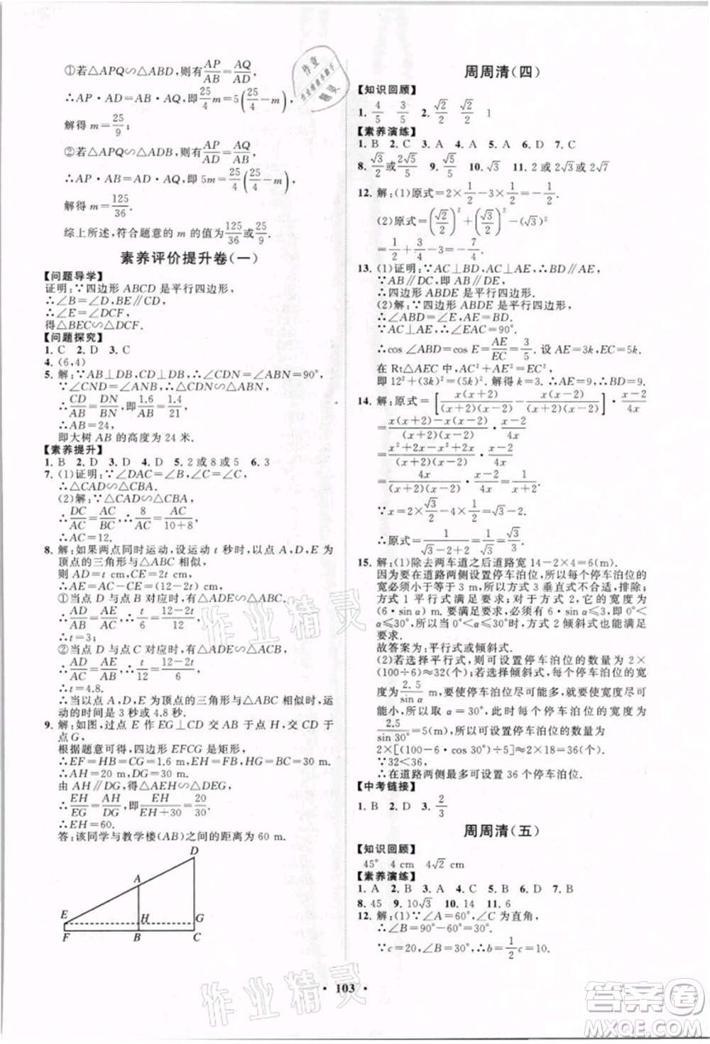 山東教育出版社2021初中同步練習冊分層卷九年級數(shù)學上冊青島版參考答案