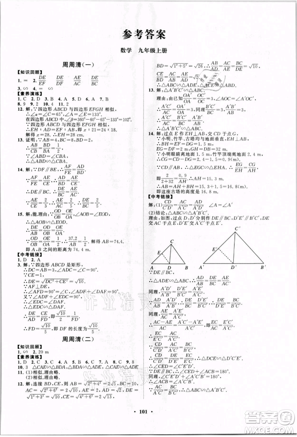 山東教育出版社2021初中同步練習冊分層卷九年級數(shù)學上冊青島版參考答案