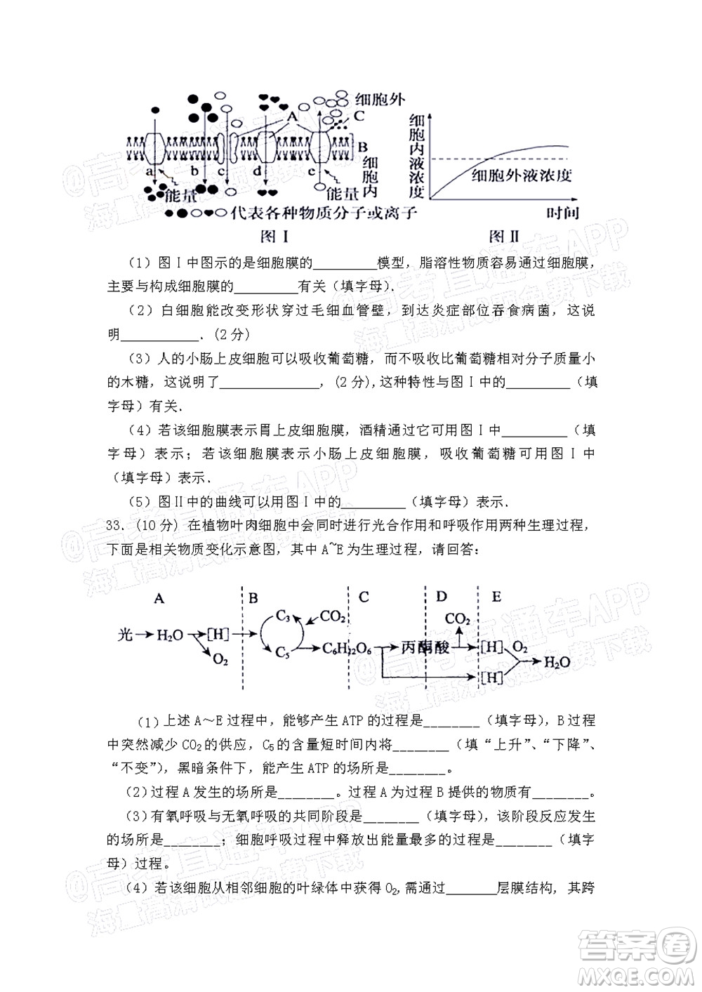 江西省九校2022屆高三上學期期中聯(lián)考生物試題及答案