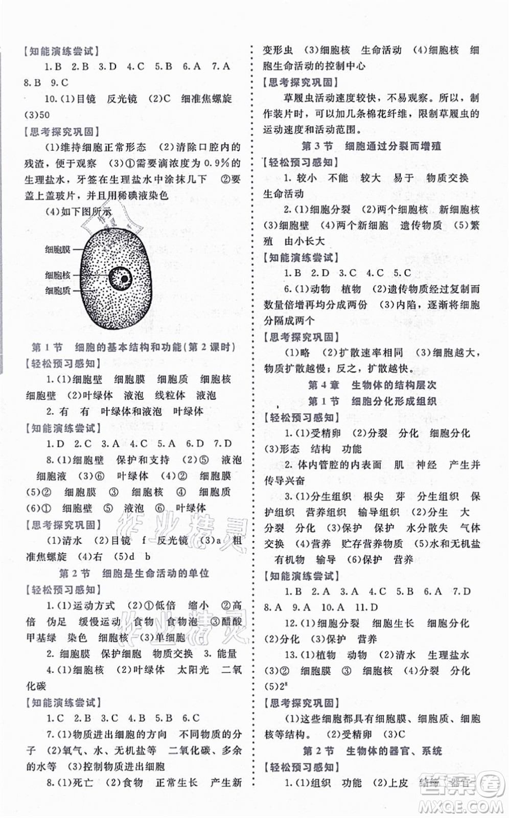 北京師范大學(xué)出版社2021課內(nèi)課外直通車(chē)七年級(jí)生物上冊(cè)北師大版福建專(zhuān)版答案