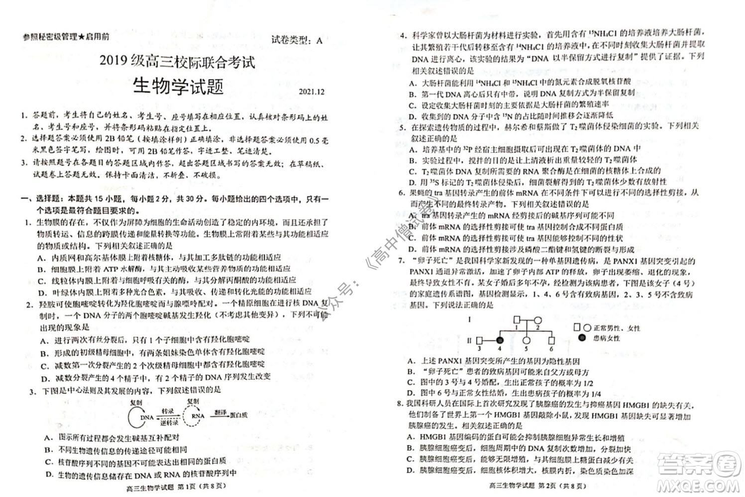 山東日照2019級高三校級聯(lián)合考試生物試題及答案