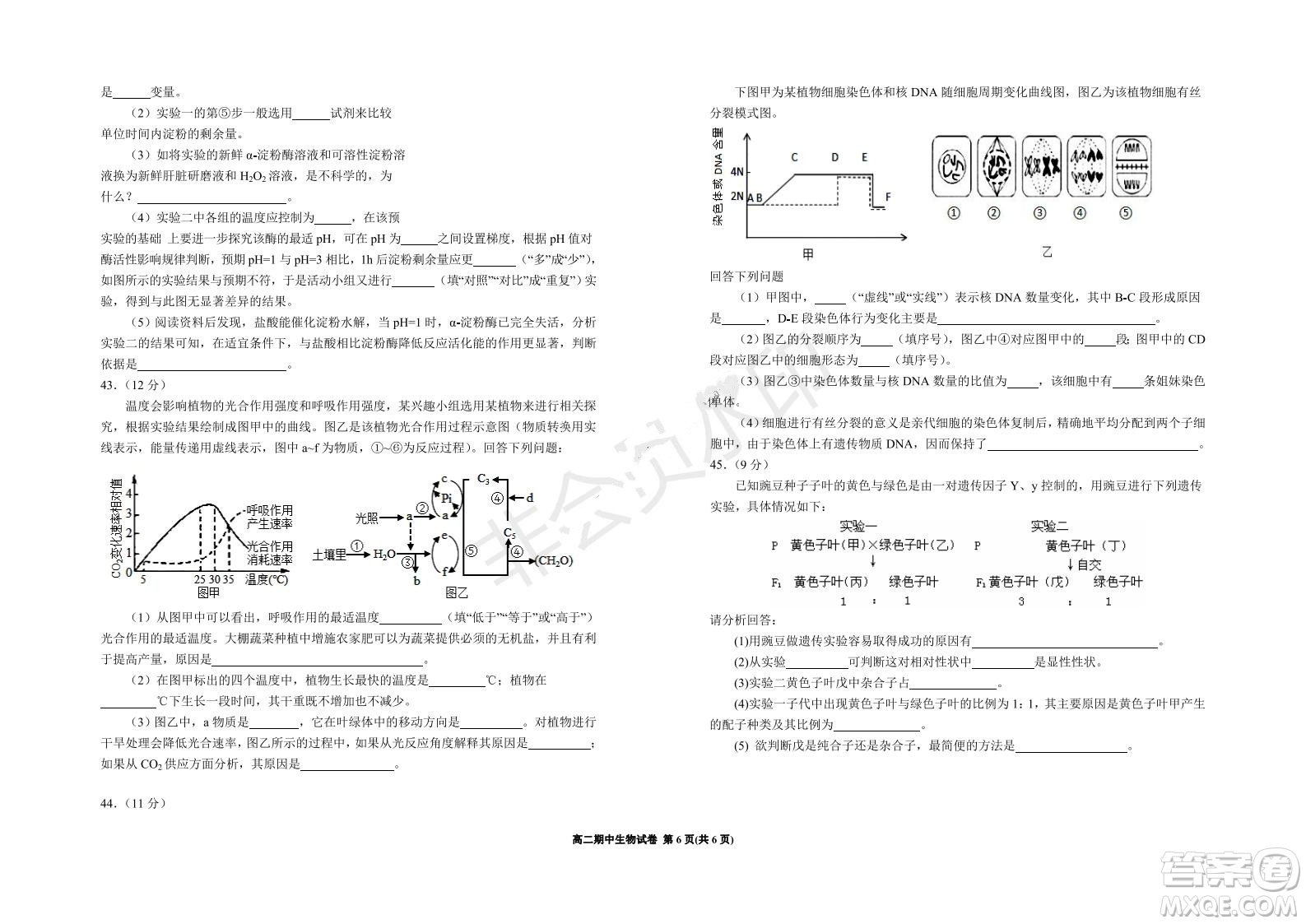 銀川一中2021-2022學年度高二上學期期中考試生物試題及答案
