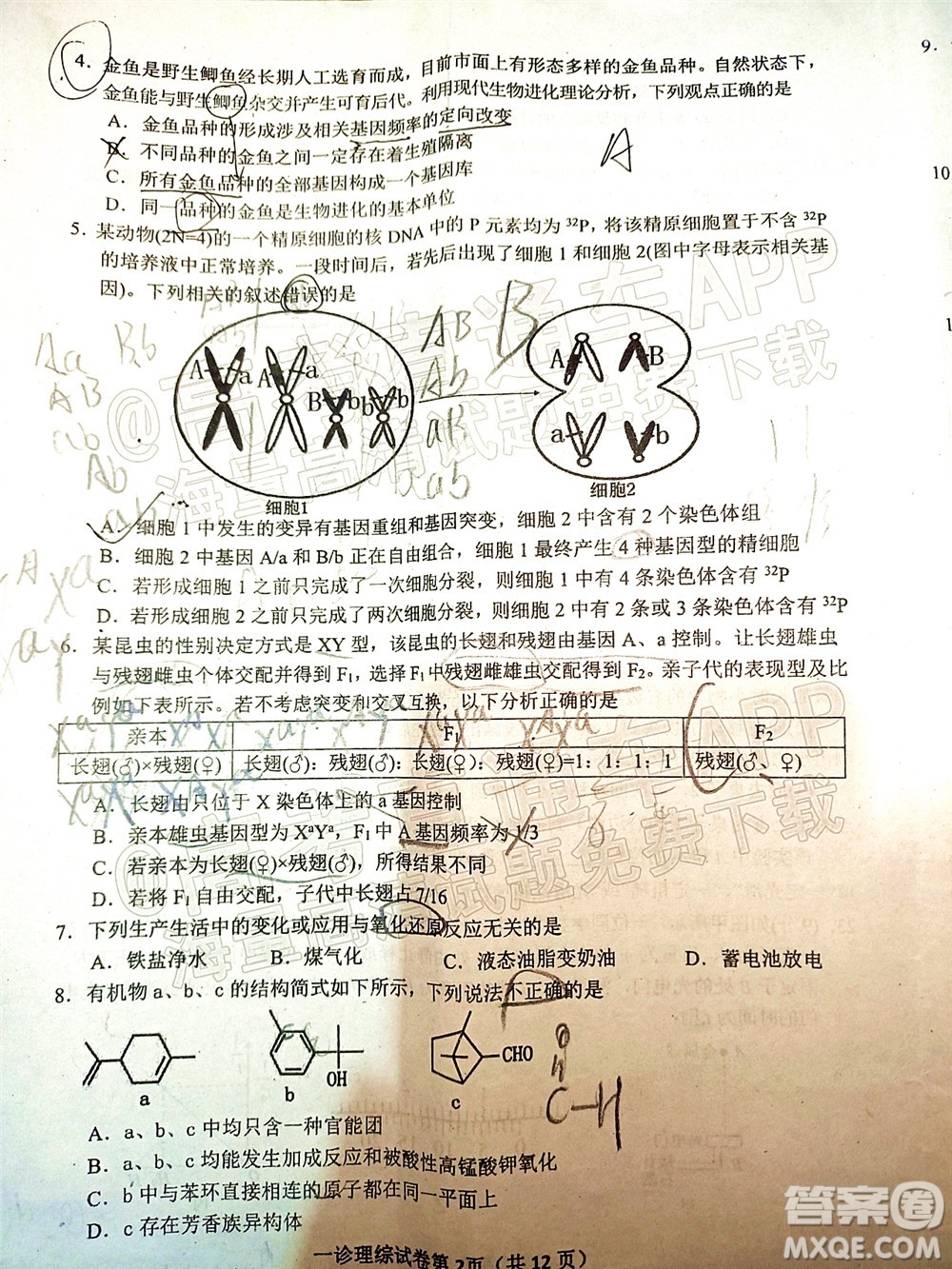 達州市普通高中2022屆第一次診斷性測試?yán)砜凭C合試題及答案