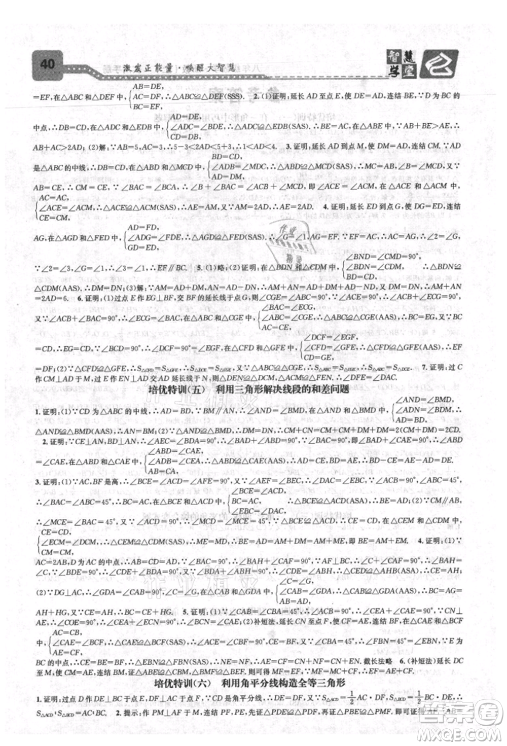 天津科學技術出版社2021智慧學堂核心素養(yǎng)提升法八年級數學上冊浙教版浙江專版參考答案