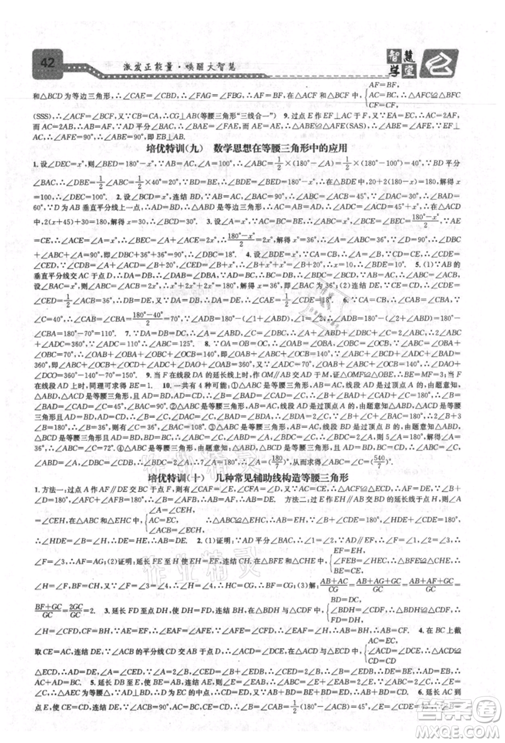 天津科學技術出版社2021智慧學堂核心素養(yǎng)提升法八年級數學上冊浙教版浙江專版參考答案