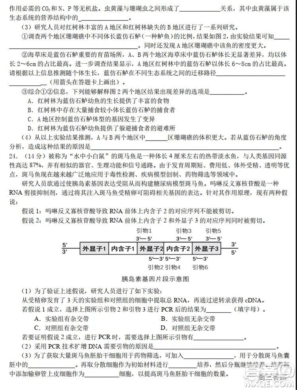 2022屆高三湖北十一校第一次聯(lián)考生物試題及答案