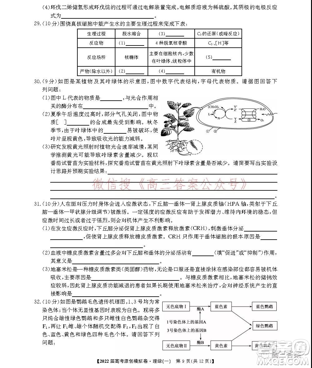 2022屆高考精準(zhǔn)備考原創(chuàng)模擬卷一理科綜合試題及答案
