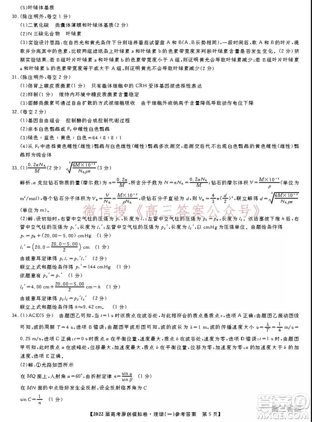 2022屆高考精準(zhǔn)備考原創(chuàng)模擬卷一理科綜合試題及答案