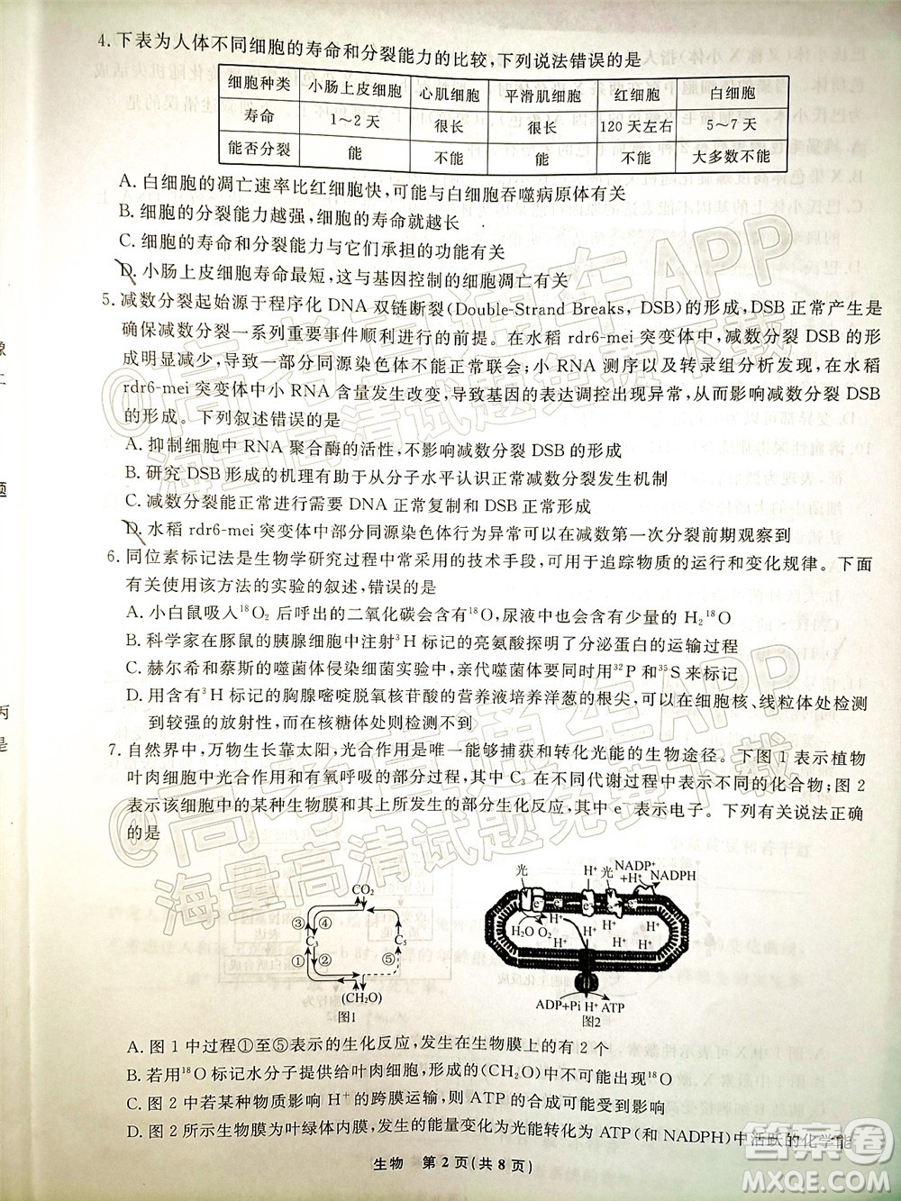 遼寧省名校聯(lián)盟2022屆高三12月聯(lián)合考試生物試題及答案