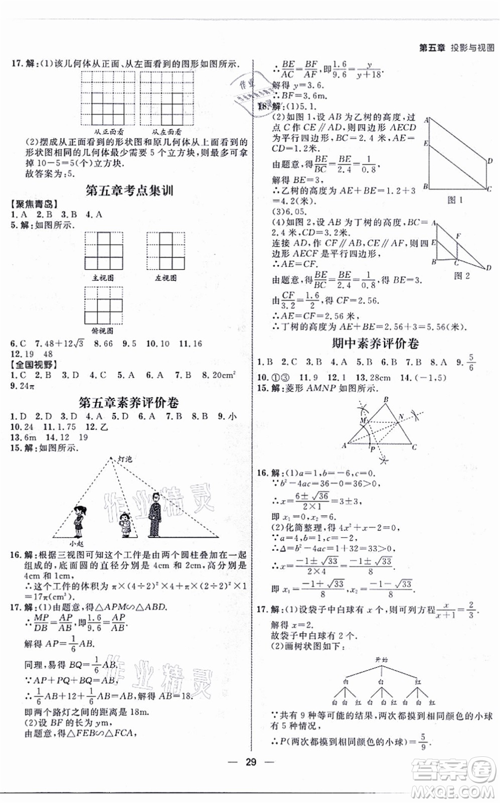 南方出版社2021練出好成績九年級(jí)數(shù)學(xué)全一冊北師大版青島專版答案