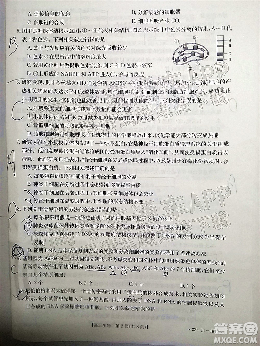 2022屆遼寧金太陽12月聯(lián)考高三生物試題及答案