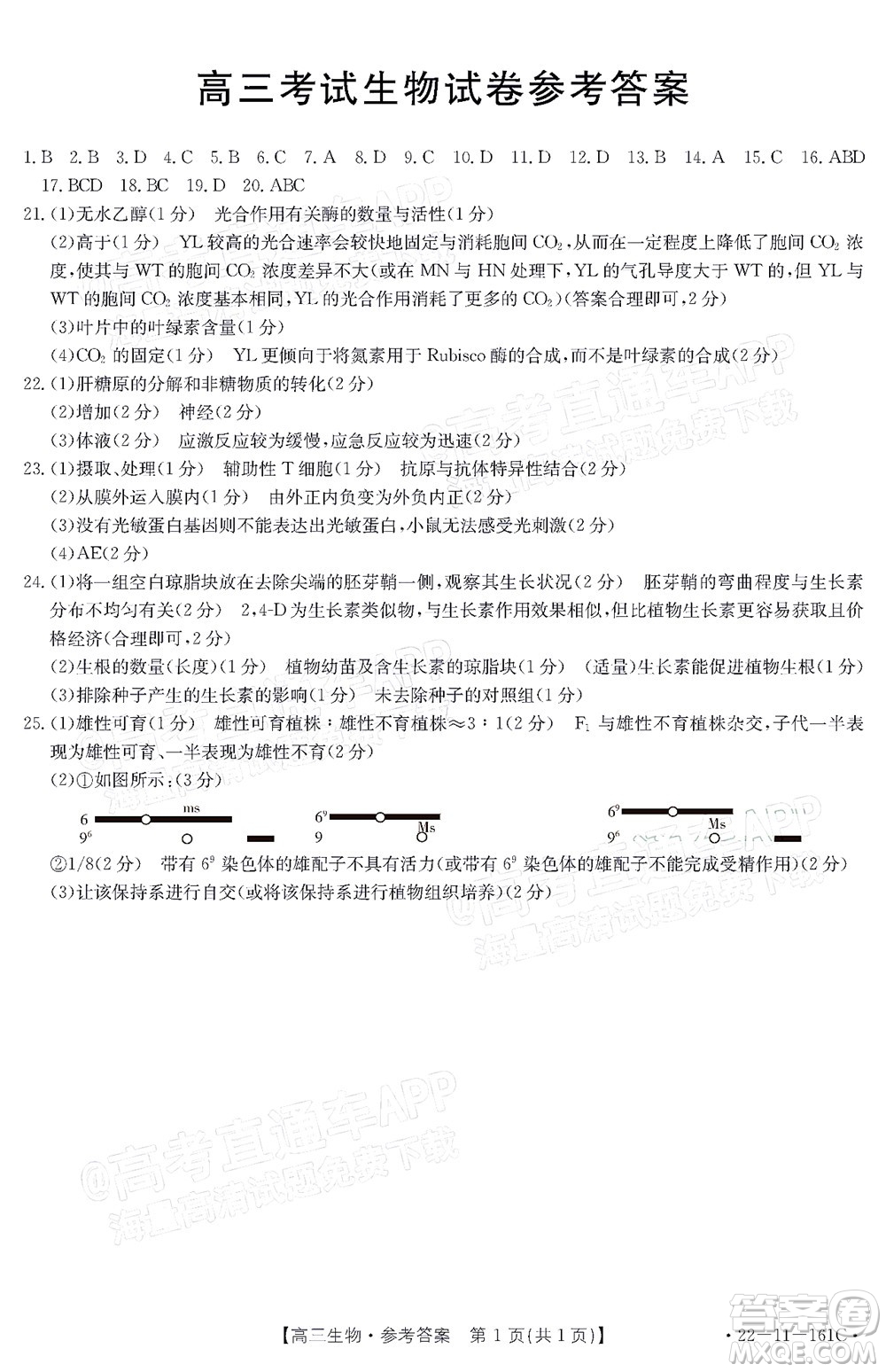 2022屆遼寧金太陽12月聯(lián)考高三生物試題及答案